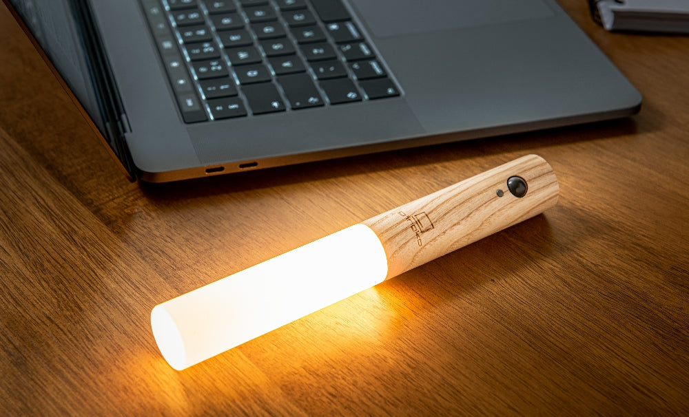 Motion-Sensing LED Wall Night Light