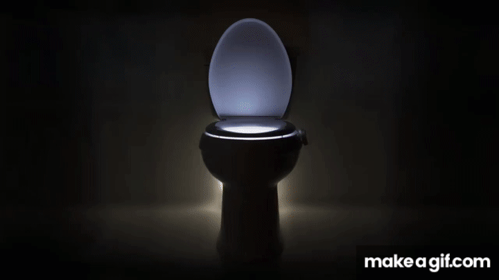 GlowBowl LED Toilet Night Light with Motion Sensor