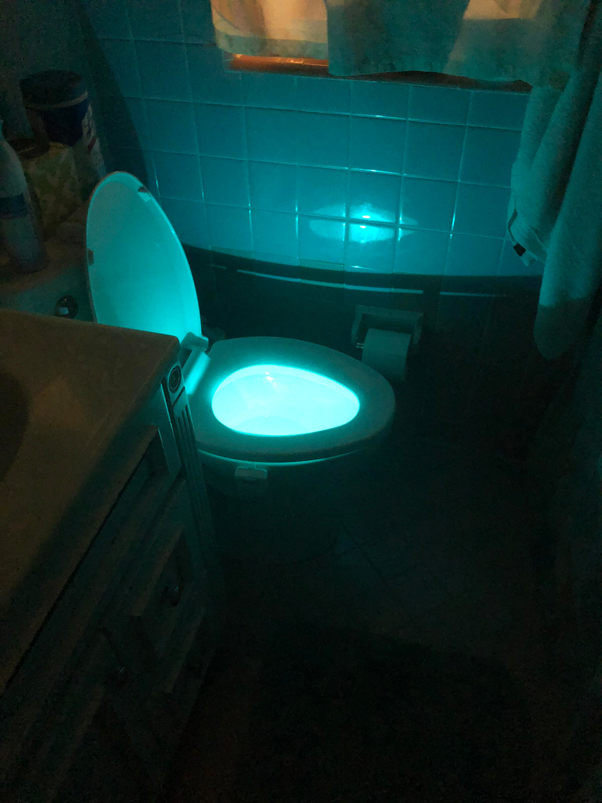 GlowBowl LED Toilet Night Light with Motion Sensor